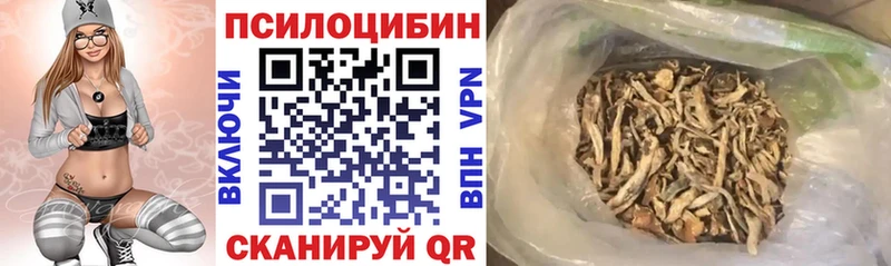 Псилоцибиновые грибы мухоморы  купить закладку  Усть-Кут 