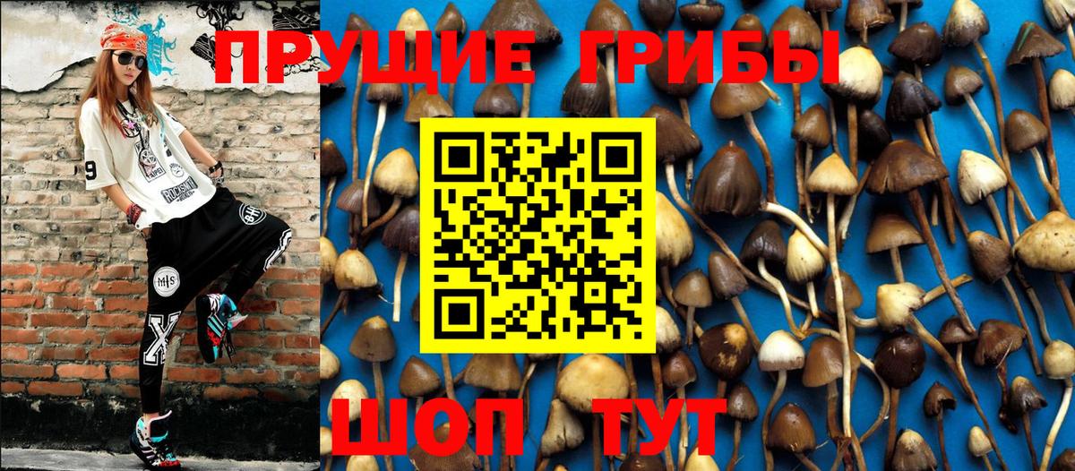 Усть-Кут  Галлюциногенные грибы Magic Shrooms  Вход с VPN 